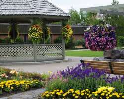 The garden also has walking trails, an arboretum, and 19 constructed wetlands and display ponds alongside demonstration plots The garden also has walking trails, an arboretum, and 19 constructed wetlands and display ponds alongside demonstration plots.
